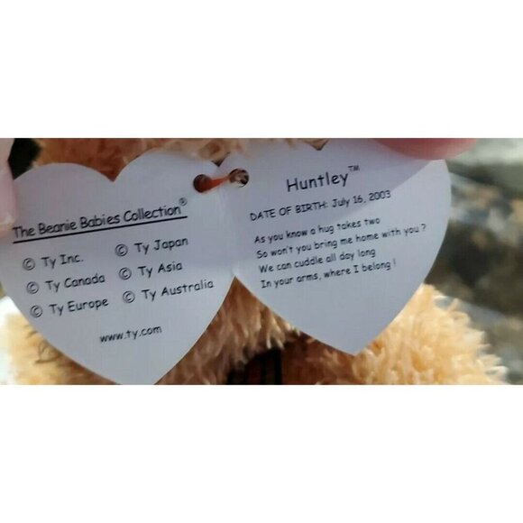 TY Beanie Baby - Huntley the Bear 8.5" Tags Attached Teddy bear - Picture 3 of 6